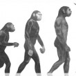 ダーウィン　進化論